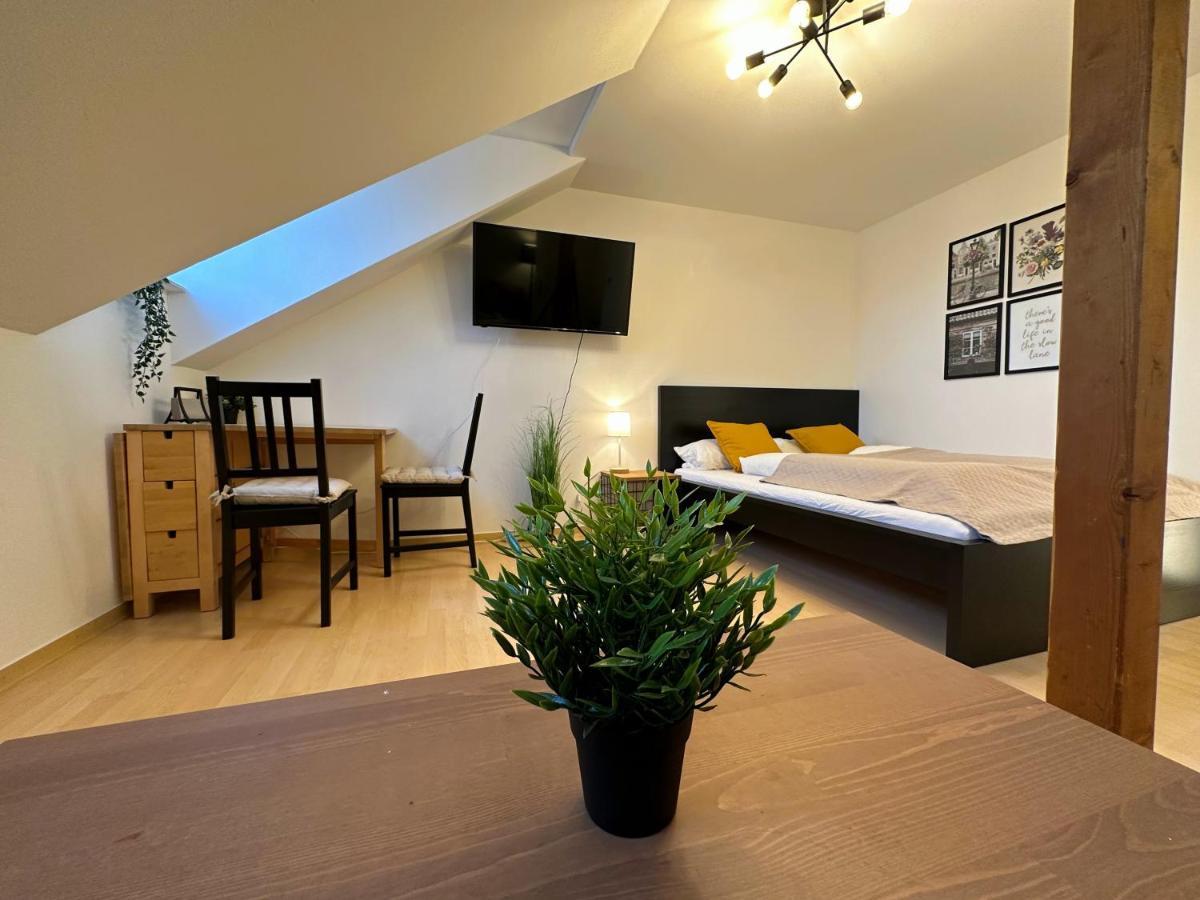 Gemuetliche, Charmante Ferienwohnung Naehe Zentrum Плауэн Экстерьер фото